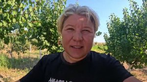 КАК ЖЕ ТЫ МЕНЯ УЖЕ ДОСТАЛА...ХВАТИТ ЛЮДЯМ ВРАТЬ‼️