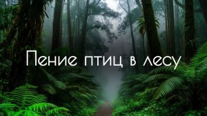 Пение птиц