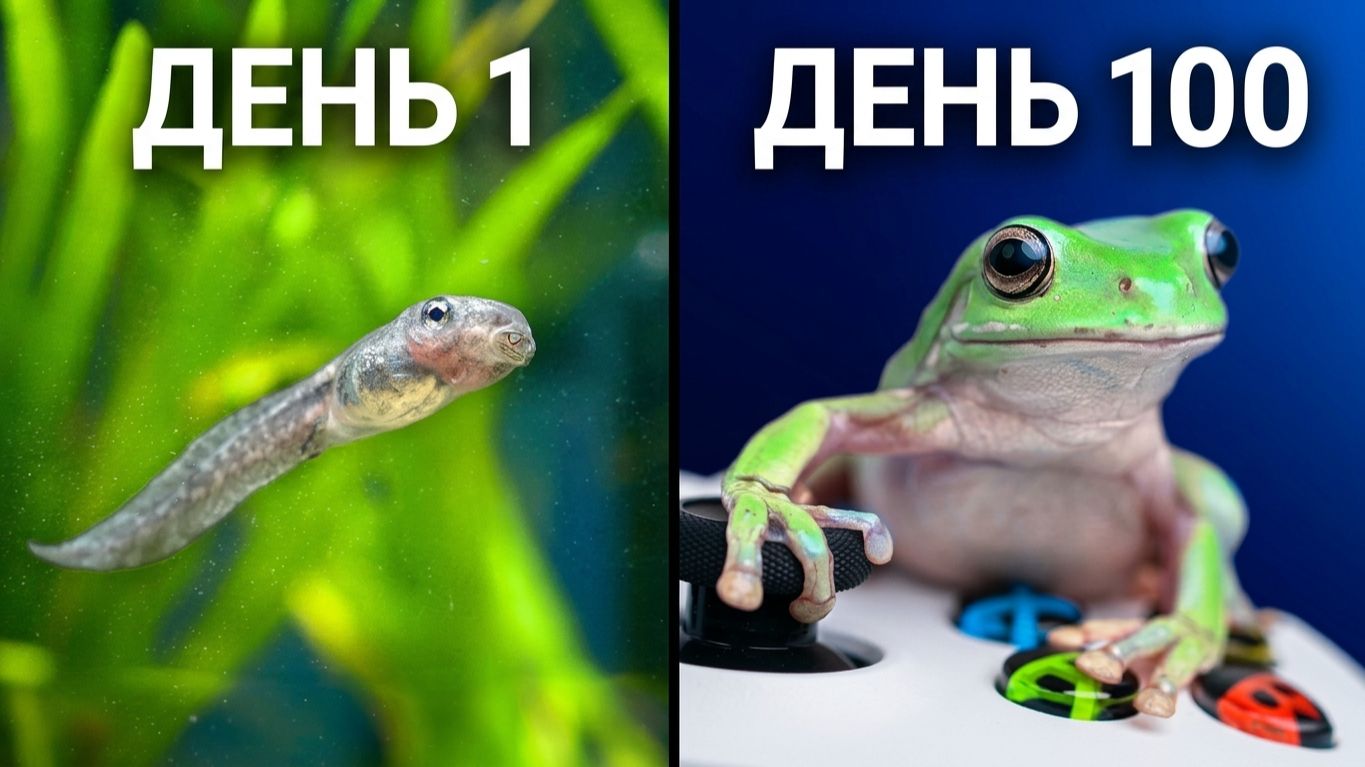 🌍 Dr. Plants / Лягушка научилась играть в игру 😱 Как головастик Ларри стал геймером!