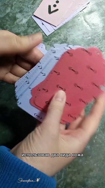 Чукур везде ﹤•••﹥