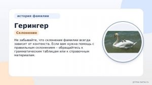 Фамилия Герингер: происхождение, значение и склонение