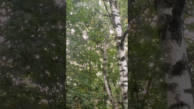 Улица Кубинка 22/2, звук удара от соседей два года. Монолог. Вопрос к этим жильцам