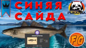 Редкий трофей на Норвежском море. Синяя Сайда. Русская рыбалка 4. рр4. Russian Fishing 4