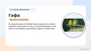 Фамилия Гафа: происхождение, значение и склонение