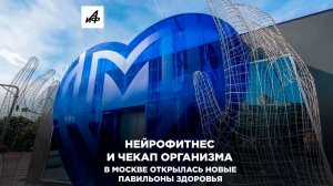 Нейрофитнес и чекап организма. В Москве открылась новые павильоны здоровья