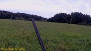 Охота 15.08.26 с драдхааром и бритон эпаньоль