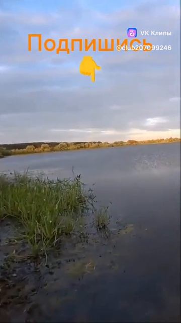 Окунёк!