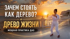 Зачем стоять как дерево? Древо жизни — мощная практика дао для энергии