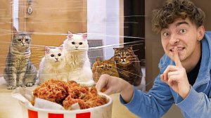 ПРАНКИ НАД КОТАМИ! ЕГОР ШКРЕД