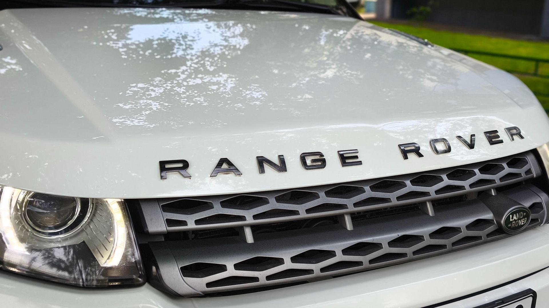 EVOQUE \\\ 8-903-741-28-01 \\\