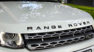 EVOQUE \\\ 8-903-741-28-01 \\\