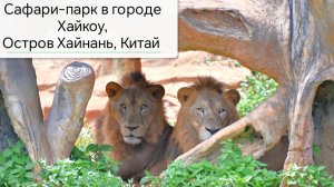 Сафари-парк в городе Хайкоу, север острова Хайнань, Китай 2026