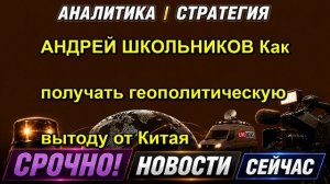 АНДРЕЙ ШКОЛЬНИКОВ Как получать геополитическую вытоду от Китая