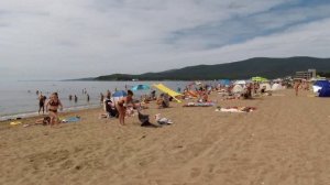 Шамора 12.08.2026.