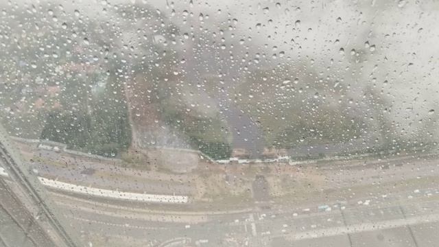 Курортный район Санкт-Петербурга, Лахта, Пенаты, Сестрорецкое болото
