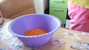 Варю куриный суп с чечевицей