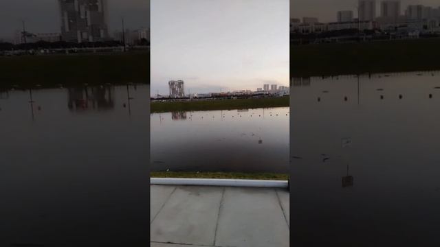 Зачем.