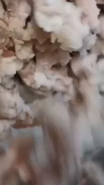 Котлеты школьные!👍