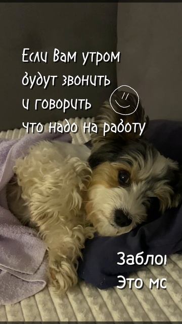 С добрым утром!