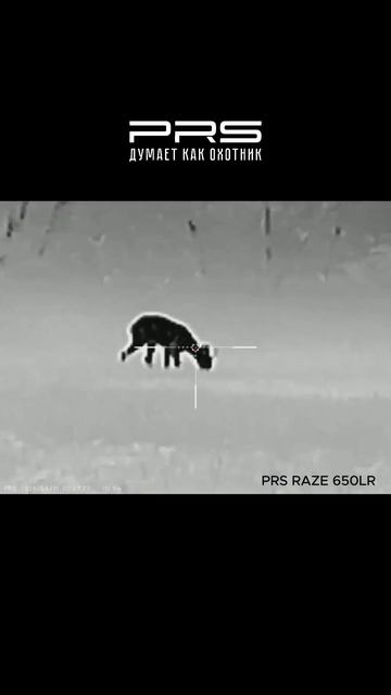 Охота на косулю