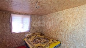 13679678 Крылья Сургута