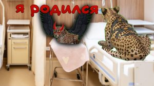 создаю семью гепардов в игре WildCraft. 4 часть