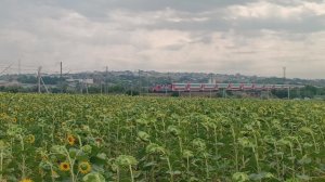 Электровоз ЭП1М-680 с двухэтажным поездом № 155 Анапа - Москва