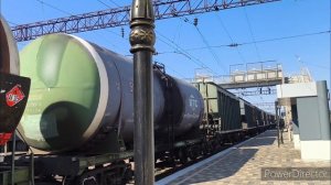 Воронежская обл. Графская станция. Август 2024 г.