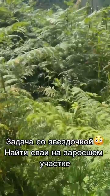 Задача со звездочкой😳 #строительство #рек #дом