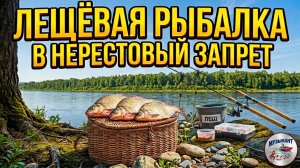 БЕШЕНЫЙ КЛЁВ ЛЕЩА в нерестовый запрет и ДЕГУСТАЦИЯ ГУСТЕРЫ. Отдых с женой и собакой. #густера  #лещ