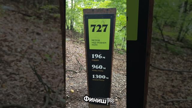 12 км и 1000 ступеней пройдено! Движение, это жизнь!