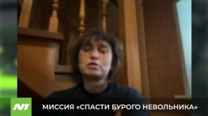 Медведя спасут. Нижневартовск