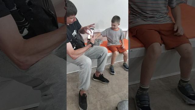 Смотрим кроликов🐇