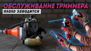 Обслуживание триммера плохо стал заводиться Готовлю к заработку на покосе травы