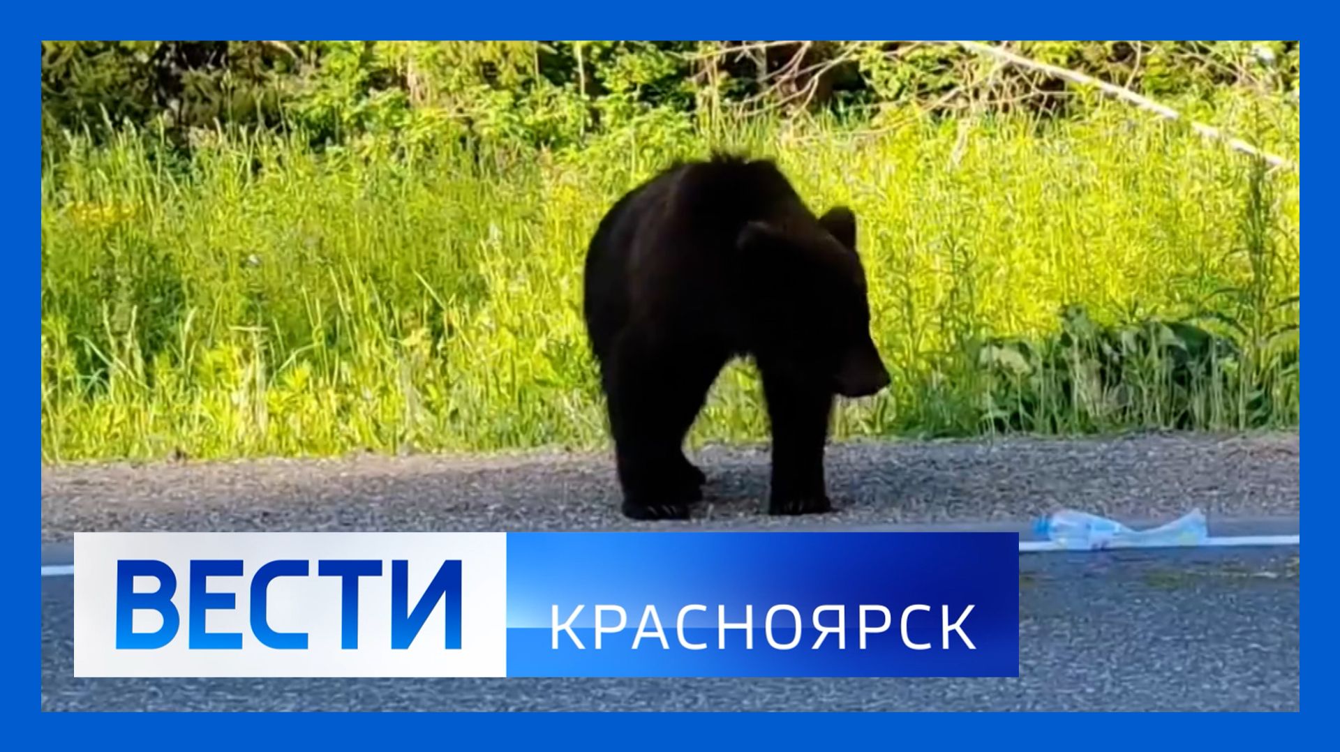 Вести. Красноярск от 29.07.2026