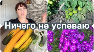 Ничего не успеваю. Напишите ваше мнение. Огород весь в траве.