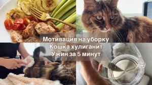 Ужин за 5 минут, мотивация на уборку, Дуся хулиганит