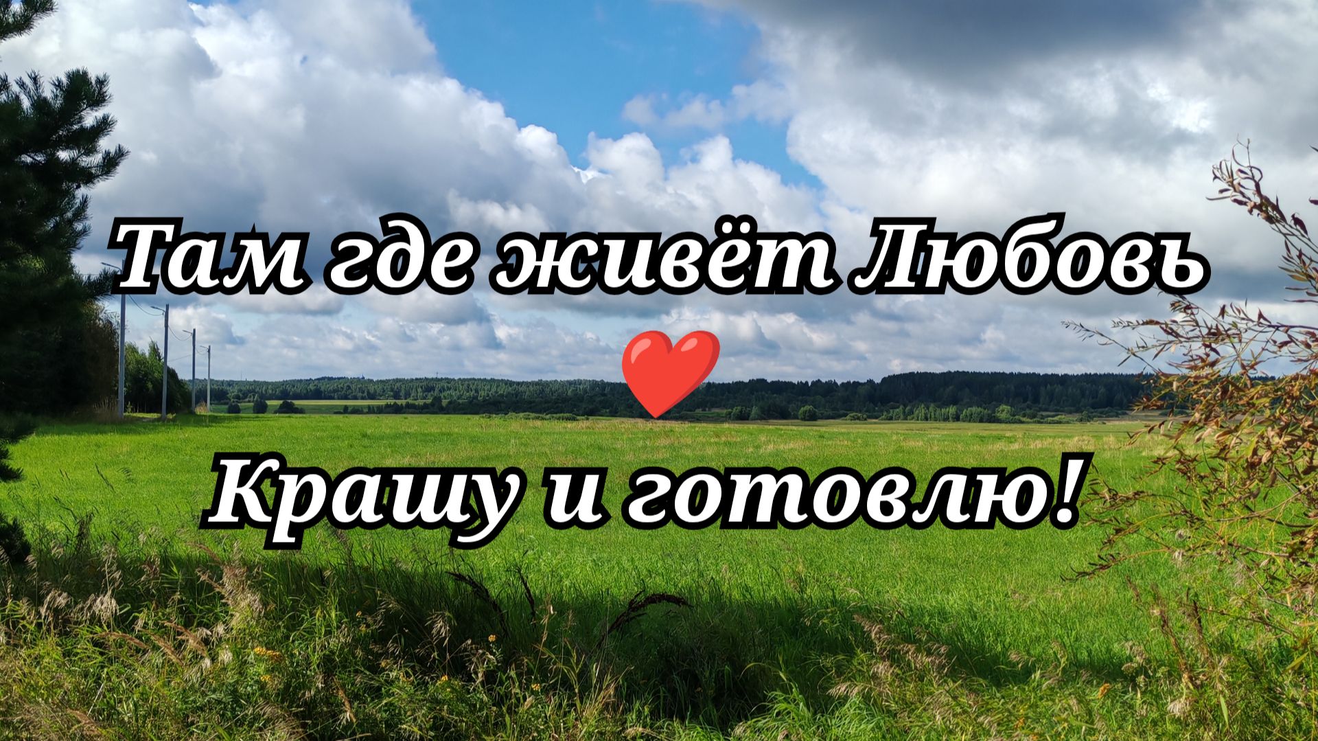 167 Крашу и готовлю!