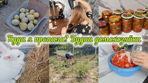 КУДА Я ПРОПАЛА? 🙈ЗАГОТОВКИ НА ЗИМУ ПРОДОЛЖАЮТСЯ🍅ПОХОЛОДАЛО -ЖДЁМ ОСЕНЬ 🍁УТРЕННИЕ РИТУАЛЫ ☕