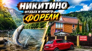 Рыбалка в Никитино : 50 форелей за несколько часов. Рыбалка в горах Краснодарского Края. Супер клёв.