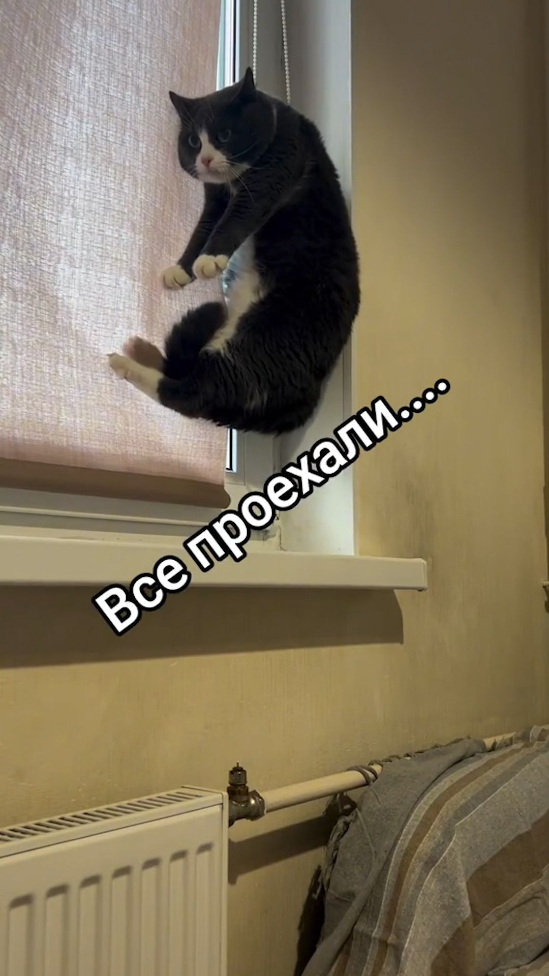 Разные интересные интересности