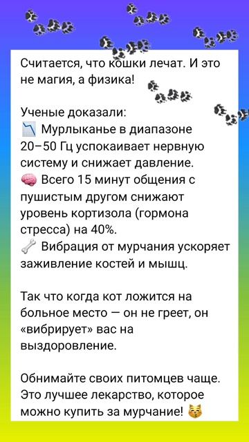 А вы, знали?