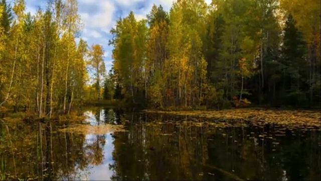 Интересные рассказы