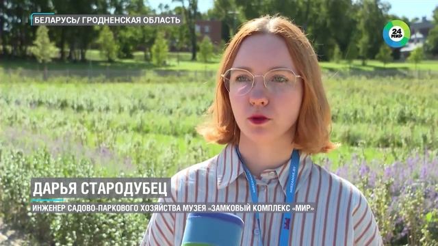 Со времен Радзивиллов: в Мирском замке воссоздают итальянский сад XVIII