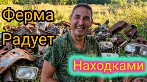 Здесь металла нет говорили они 😅