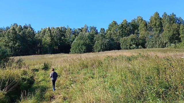 ДЕРЕВНЯ ПАВШОЙЛА . СТАРИННАЯ ЧАСОВНЯ