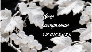 Новое поступление 19-08-2026