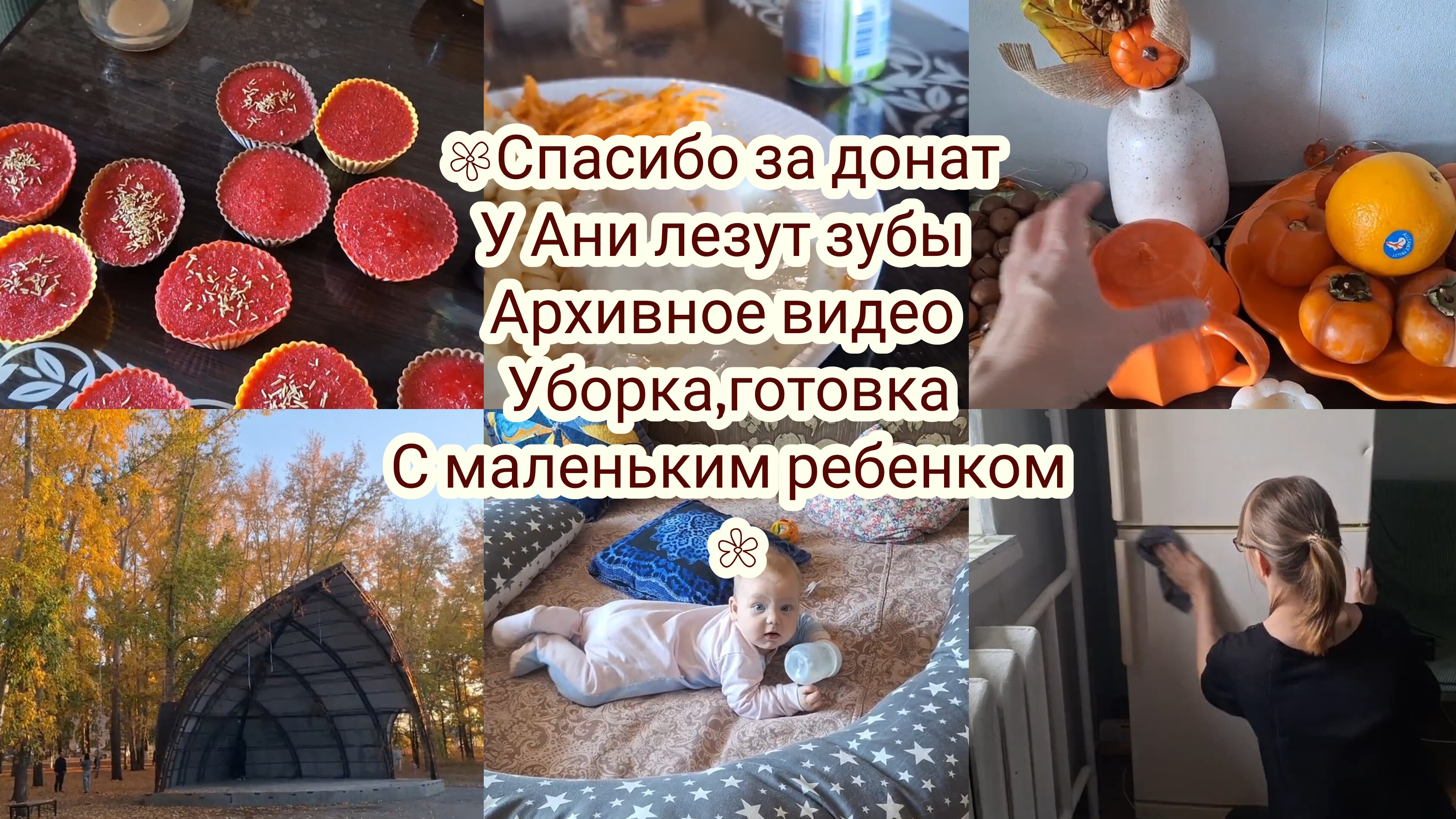 Спасибо за донаь! у Ани лезут зубы,  осенний влог