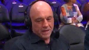 😱 Бурная реакция Кормье, Хабиба и других звёзд UFC на бой Махачев - Гэрри!