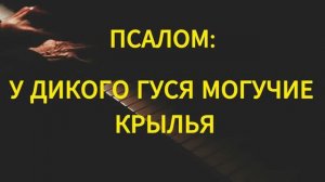 16.08.2026 - «У ДИКОГО ГУСЯ МОГУЧИЕ КРЫЛЬЯ» / КУЧЕРЮКОВ МАКСИМ И ПЛАТОНОВА НАДЕЖДА